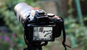 Plantas Exóticas Técnicas para Fotografe Folhas Intricadas