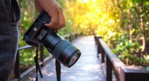 Plantas Exóticas Técnicas para Fotografe Folhas Intricadas