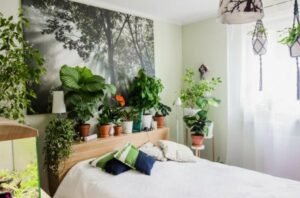 Plantas Raras em Quartos Minimalistas sem Sobrecarregar